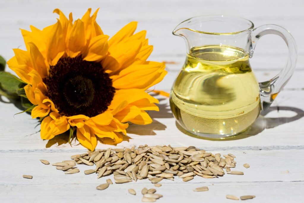 Sunflower Oil: Benefits