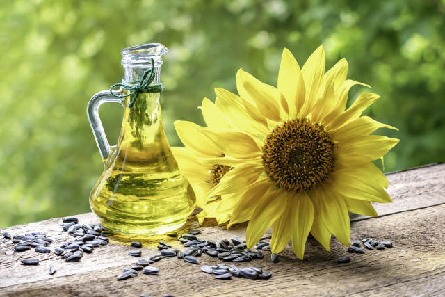 Sunflower Oil for Sale in Thailand