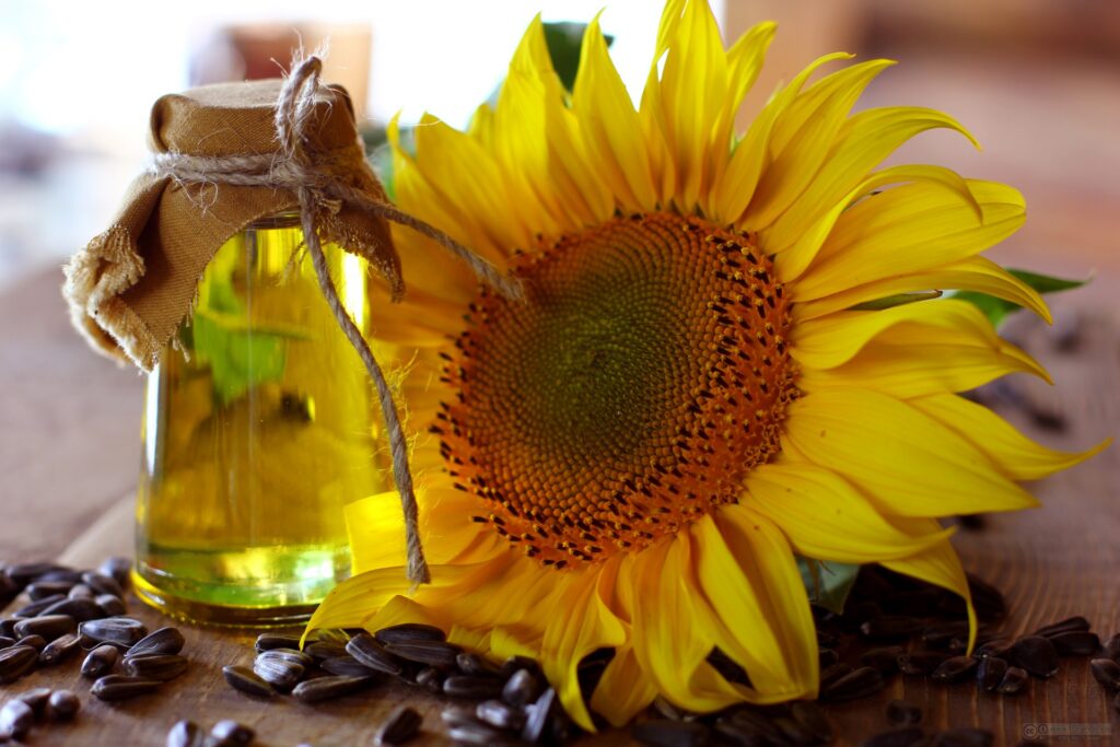 Quality Sunflower Oil